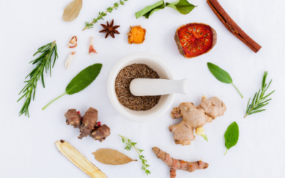 What is Naturopathy?
